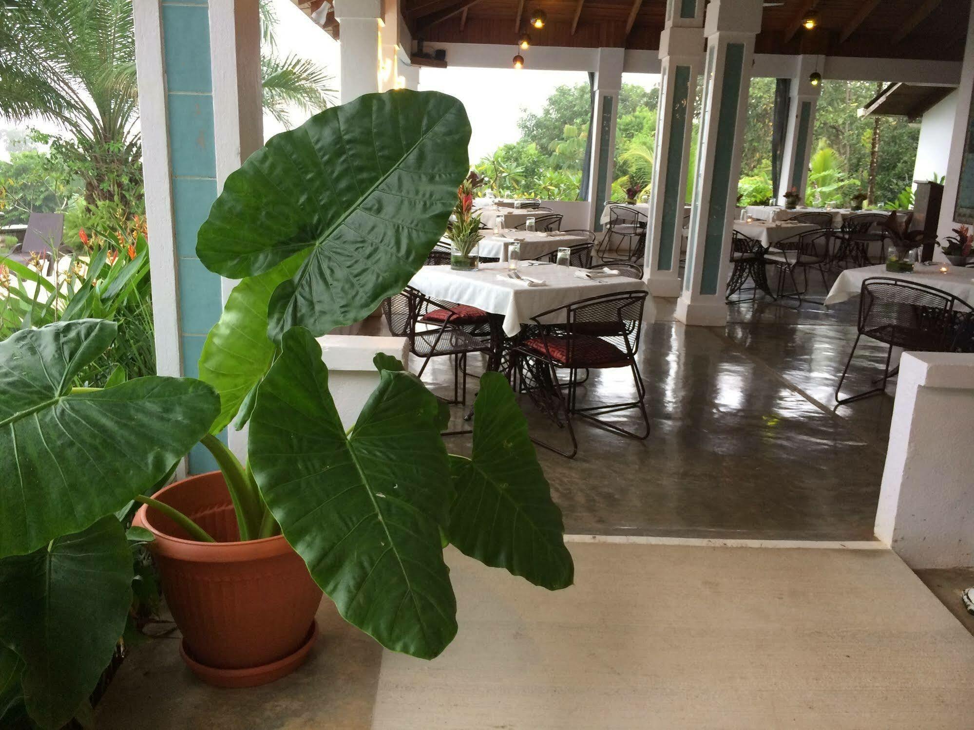 Hotel Lookout Playa Tortuga אוחוצ'אל מראה חיצוני תמונה
